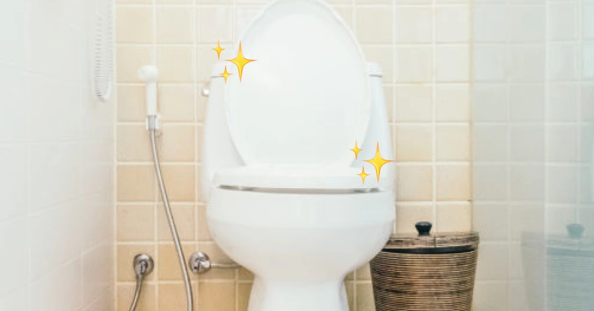 Como deixar o vaso branco de novo? Veja estas duas dicas infalível